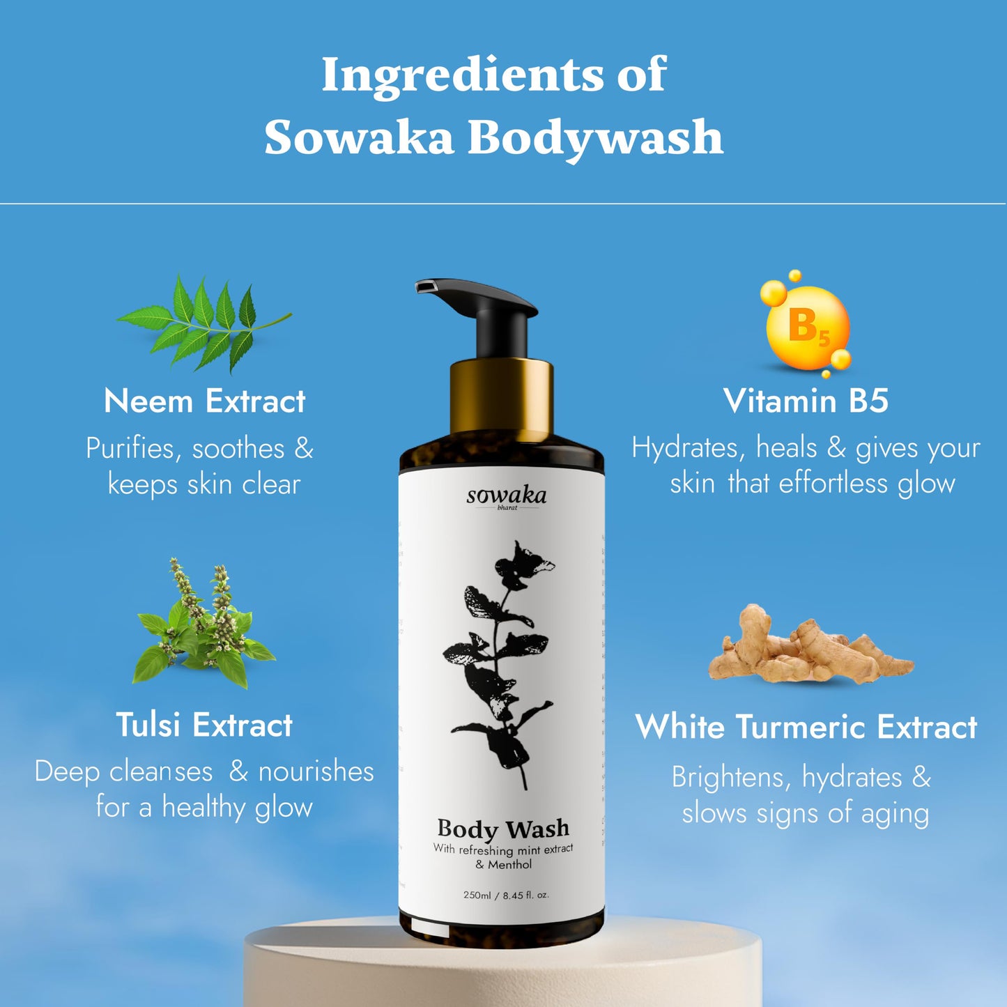 SOWAKA COOL MINT BODY WASH - 250ml